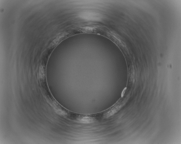 X0000083650467200702261120