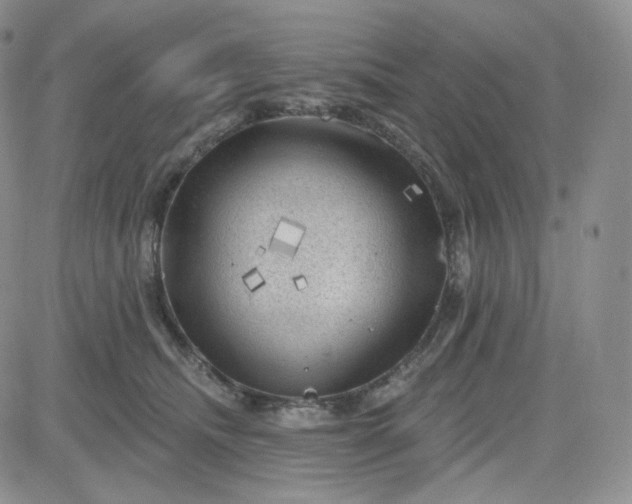 X0000083650468200702261120