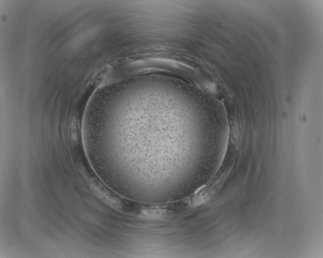 X0000083650470200702261121