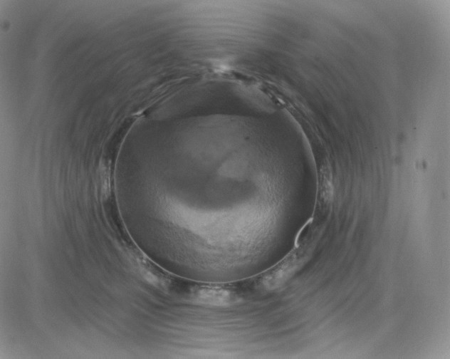 X0000083650471200702261121