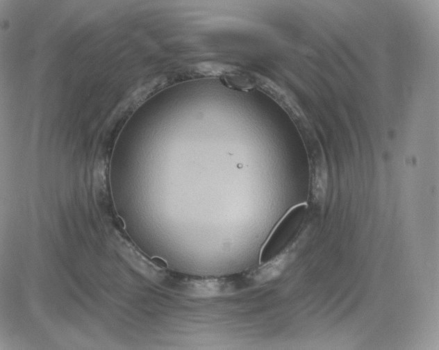 X0000083650473200702261121