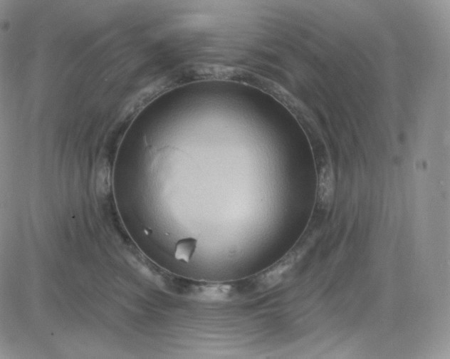 X0000083650474200702261121