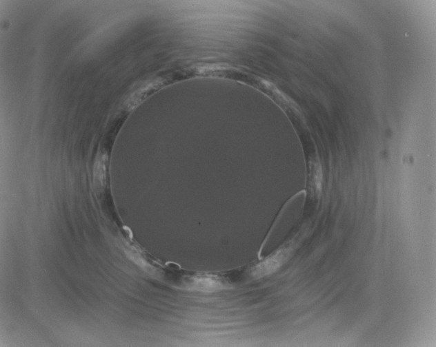 X0000083650475200702261121