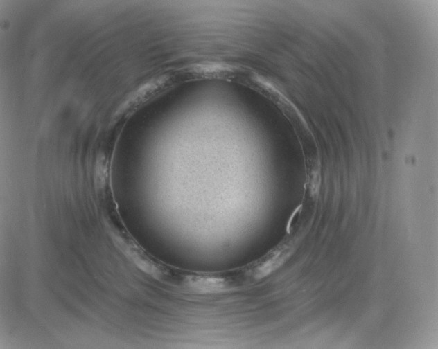 X0000083650476200702261121