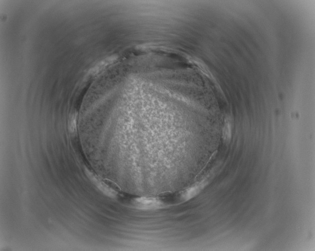 X0000083650477200702261121