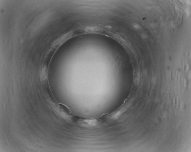 X0000083650478200702261121