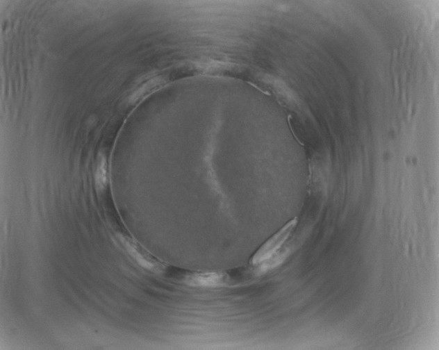 X0000083650479200702261121