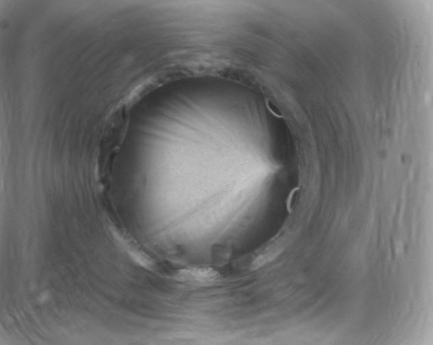 X0000083650480200702261121