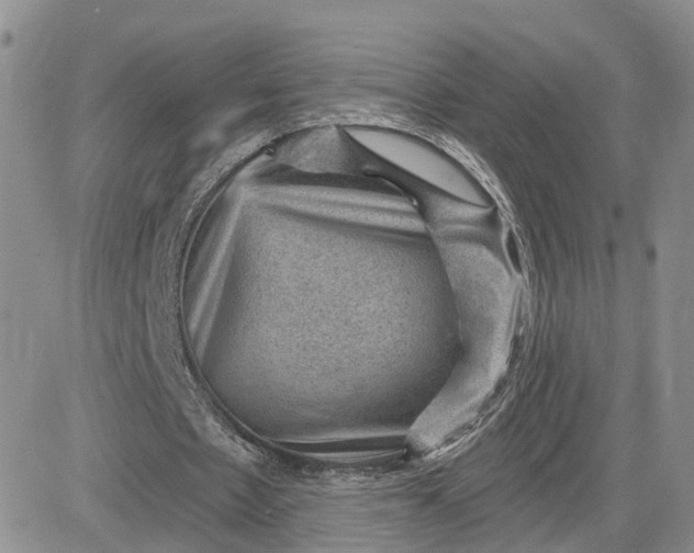 X0000083650481200702261120