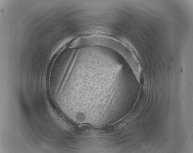 X0000083650482200702261120