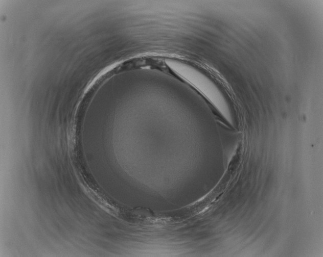 X0000083650484200702261120