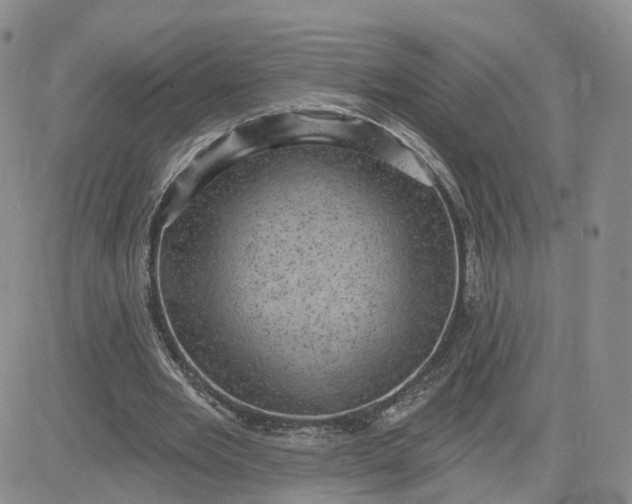 X0000083650485200702261120