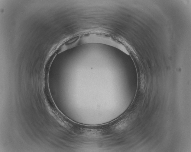 X0000083650486200702261120