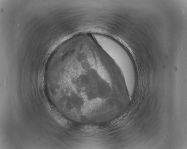 X0000083650487200702261120