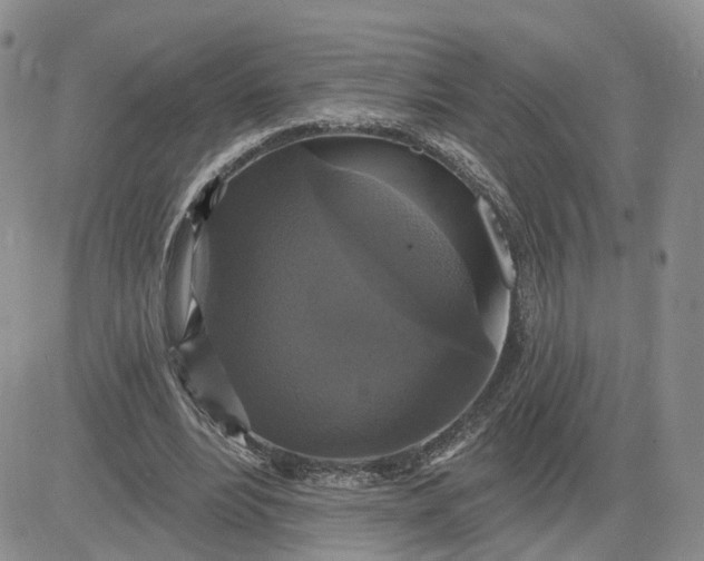 X0000083650488200702261120