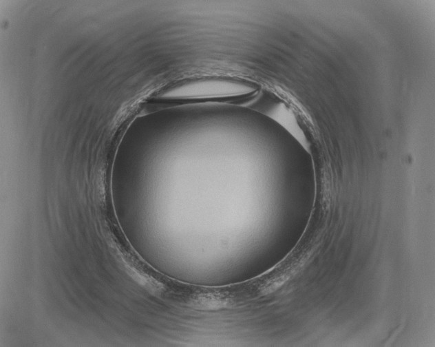 X0000083650489200702261120