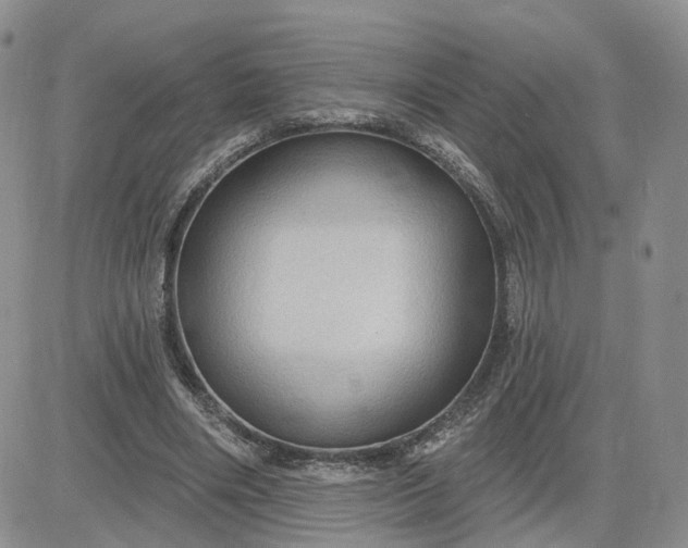 X0000083650490200702261120