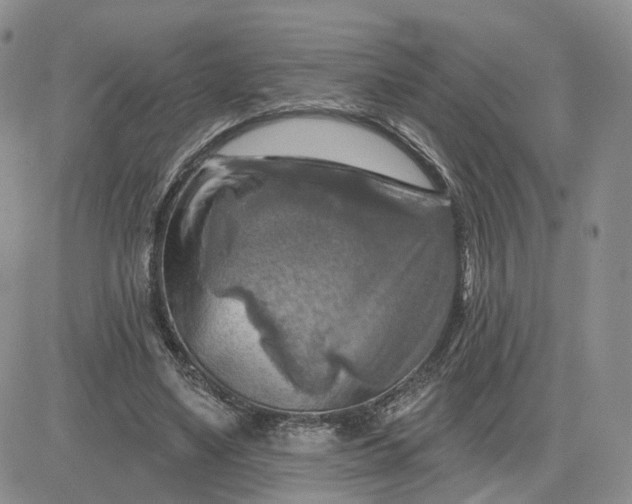 X0000083650491200702261120