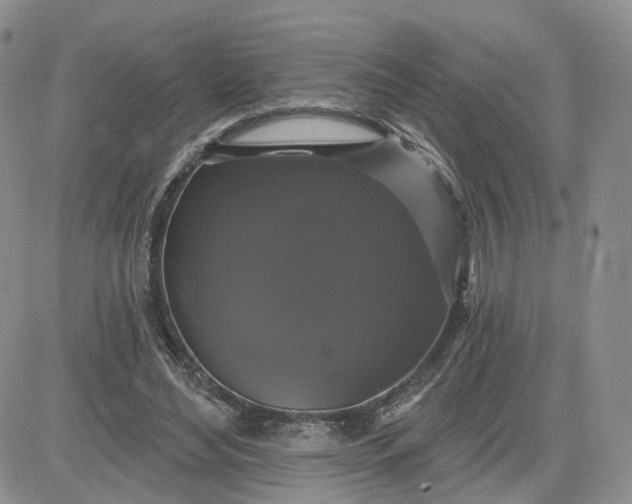 X0000083650492200702261120