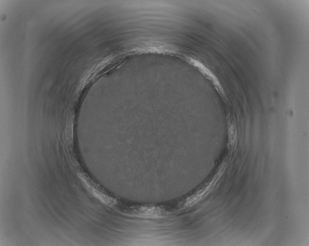 X0000083650493200702261120