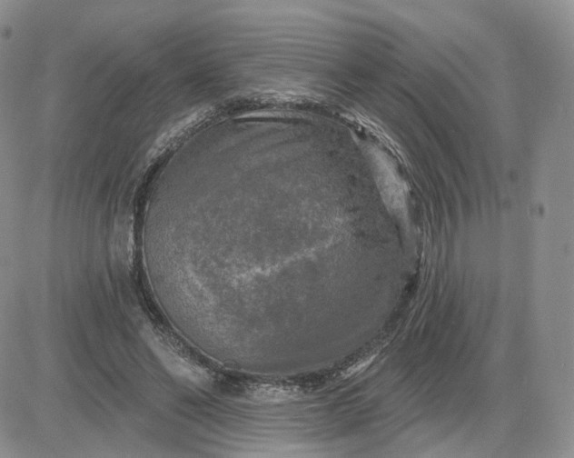 X0000083650494200702261120