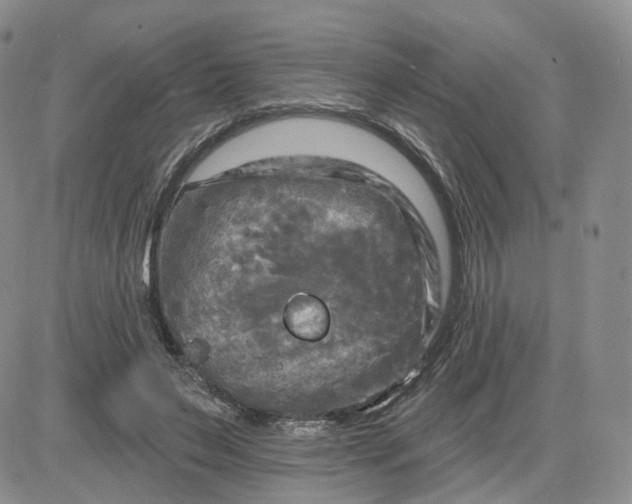 X0000083650495200702261120