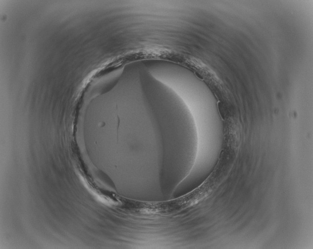 X0000083650496200702261120