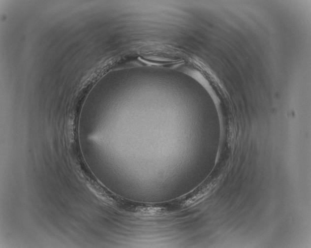 X0000083650497200702261120