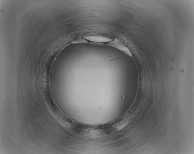 X0000083650498200702261120