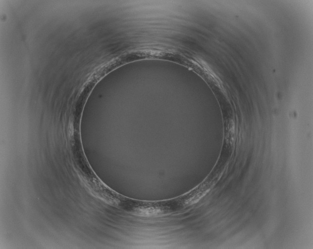 X0000083650500200702261120