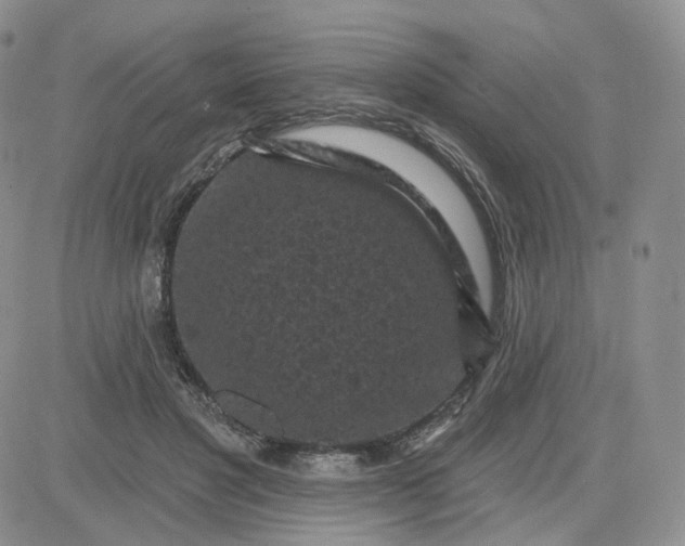 X0000083650501200702261120