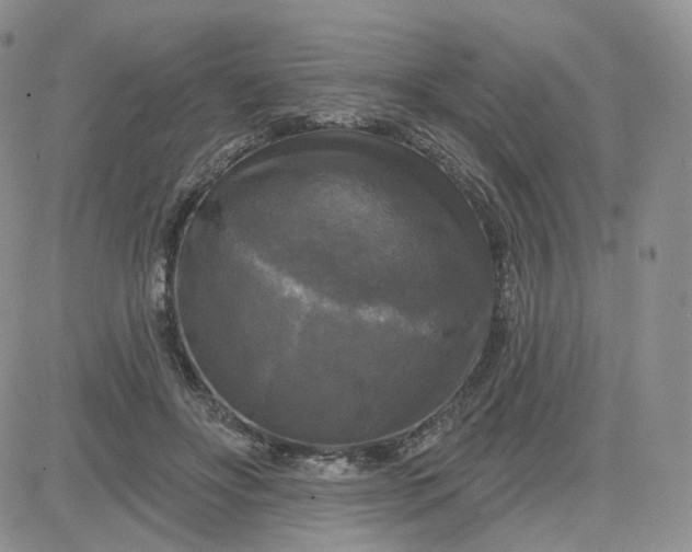 X0000083650502200702261120