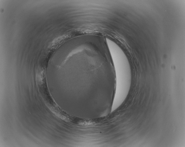 X0000083650503200702261119