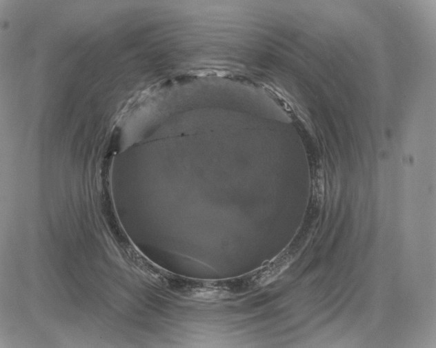 X0000083650504200702261119