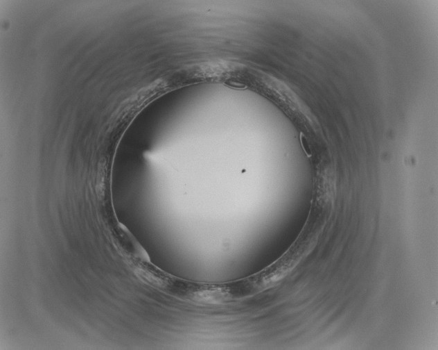 X0000083650505200702261119