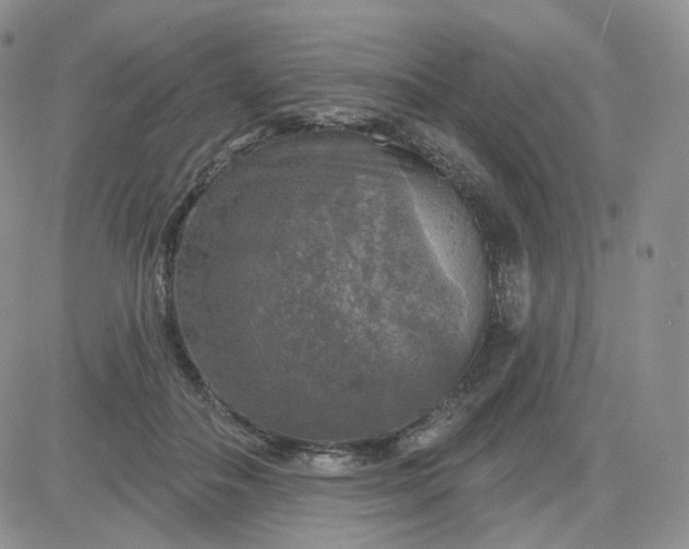 X0000083650506200702261119