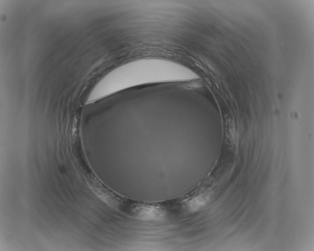 X0000083650507200702261119