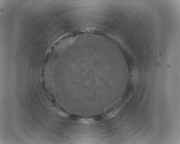 X0000083650508200702261119