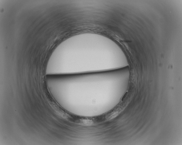 X0000083650509200702261119