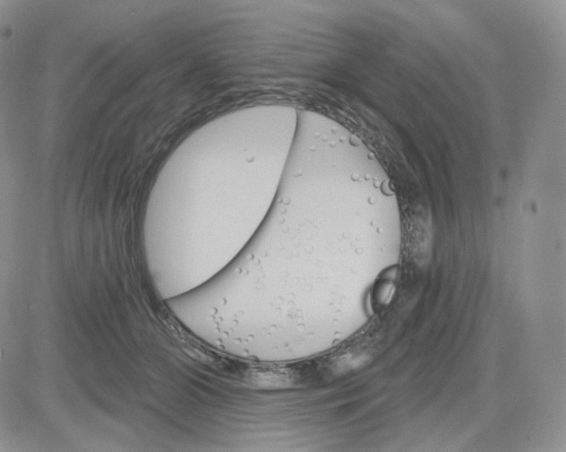 X0000083650510200702261119