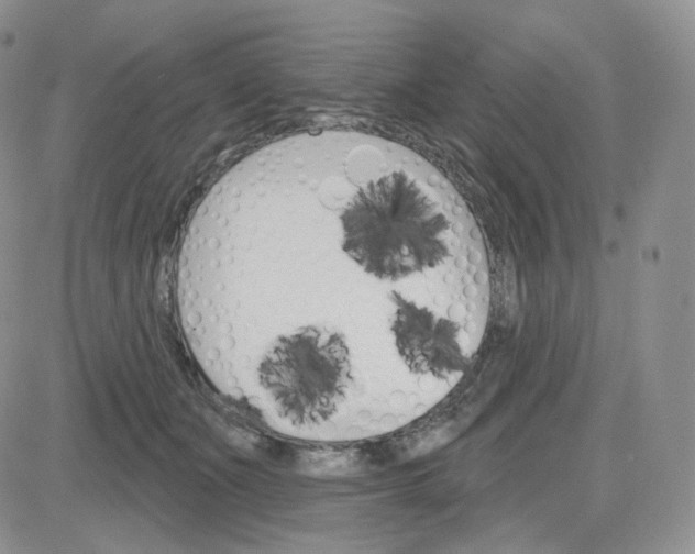 X0000083650511200702261119