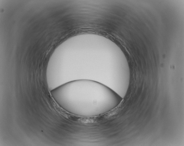 X0000083650512200702261119