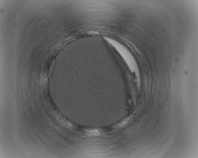 X0000083650513200702261119