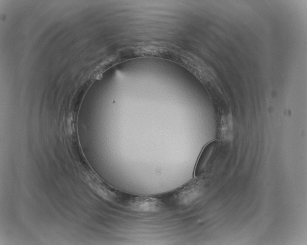 X0000083650514200702261119