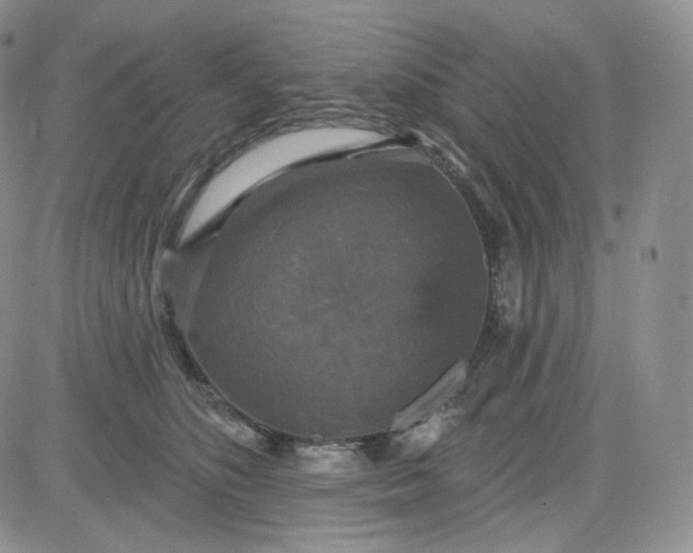 X0000083650516200702261119