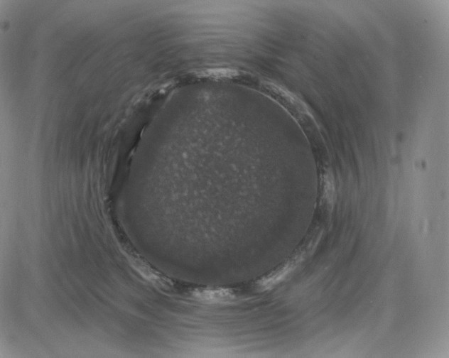 X0000083650517200702261119