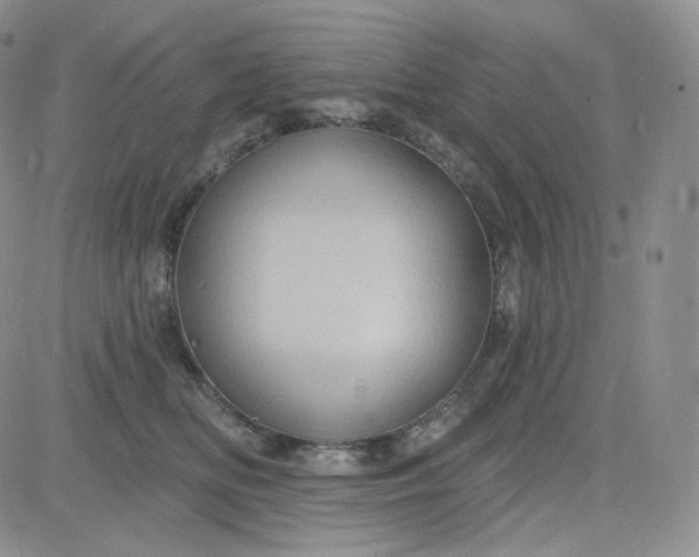 X0000083650518200702261119