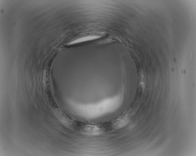 X0000083650519200702261119