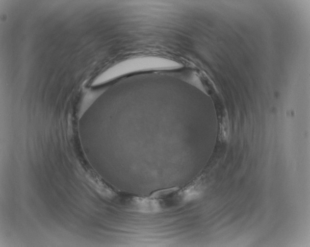 X0000083650520200702261119