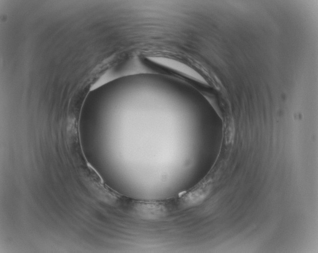 X0000083650521200702261119